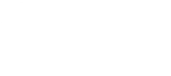 Beldico